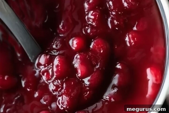 cranberry sauce in bowl with spoon