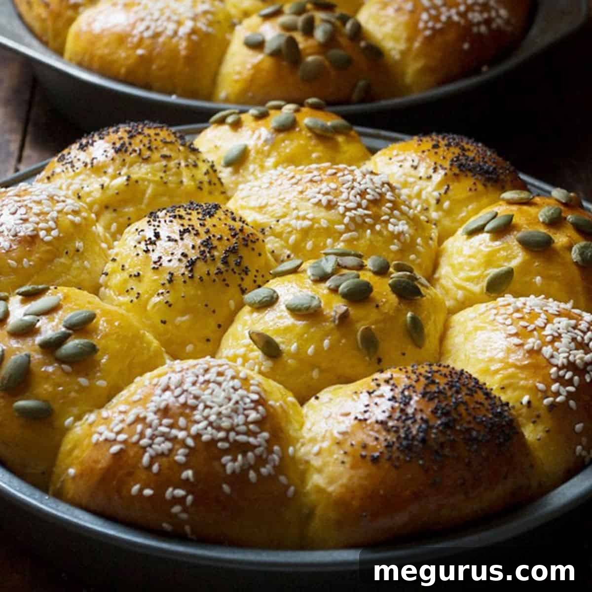 honey pumpkin rolls in baking pans