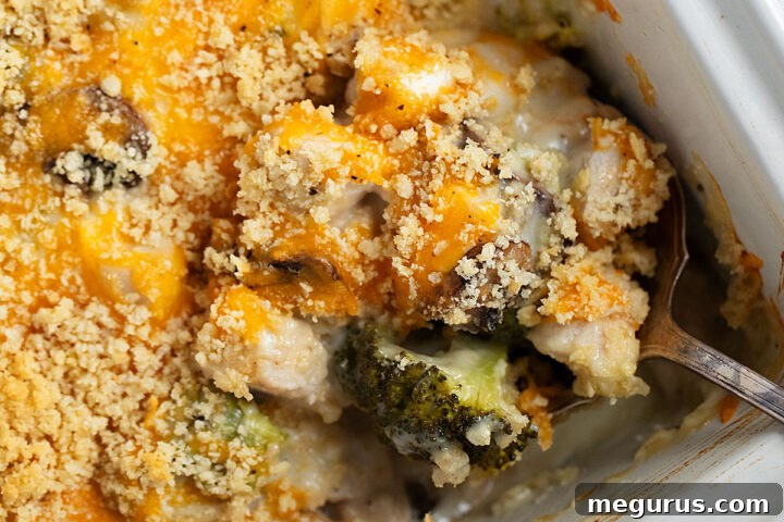 Chicken Divan in a casserole dish with a serving spoon, highlighting the golden topping