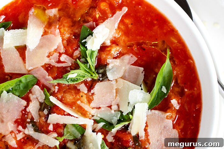 A bowl of rustic Tuscan Tomato Bread Soup (Pappa al Pomodoro) topped with fresh basil and a generous drizzle of olive oil.