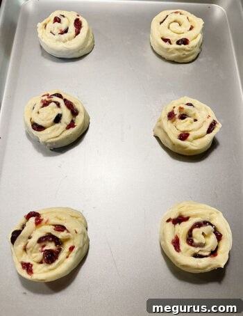 Cut rounds after being placed on a baking sheet, ready for the second rise