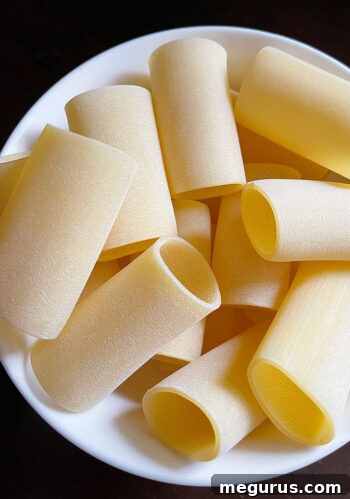 Bowl of uncooked Paccheri pasta, a chunky, tube-shaped pasta ideal for ragù