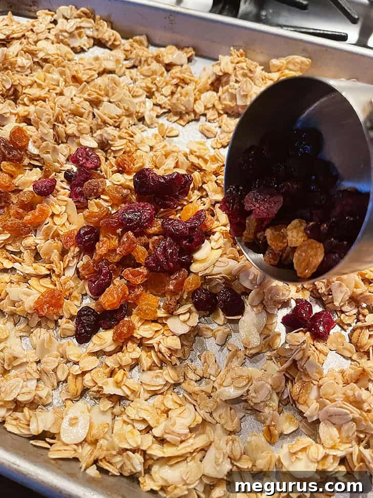 Dried cranberries and golden raisins being folded into partially baked granola on a baking sheet.