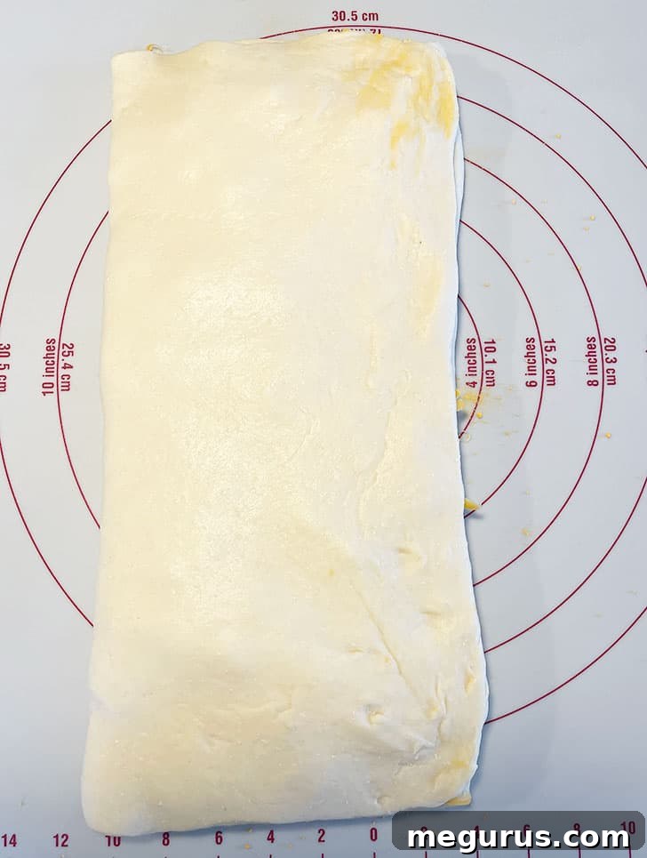 The dough, now folded multiple times, awaiting the final shaping step.