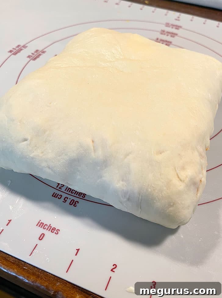 The fully folded and layered dough, now ready to be cut into individual buns.