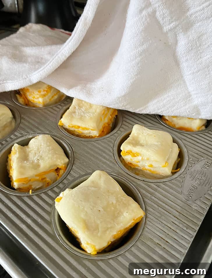 Cheese buns after their final rise, looking puffy and ready for baking.