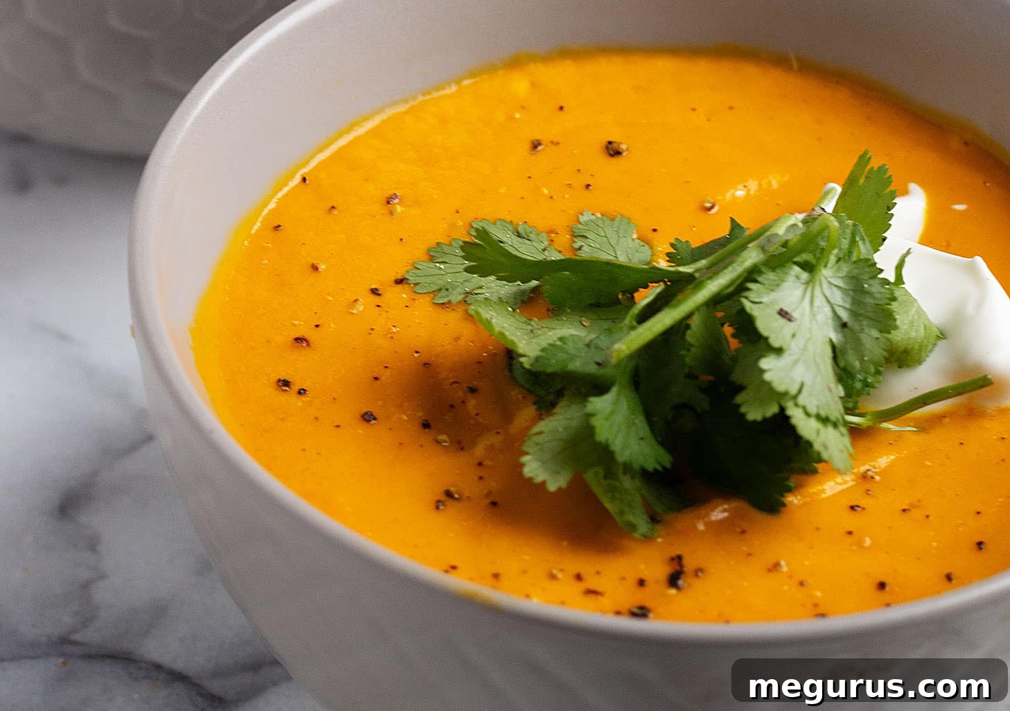 A beautifully presented bowl of creamy Thai carrot and pumpkin soup, garnished with fresh cilantro and a swirl of coconut cream, ready to be enjoyed.