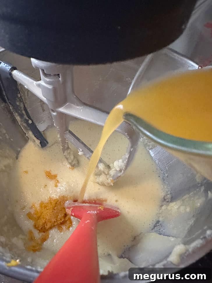 Pouring in freshly squeezed orange juice.