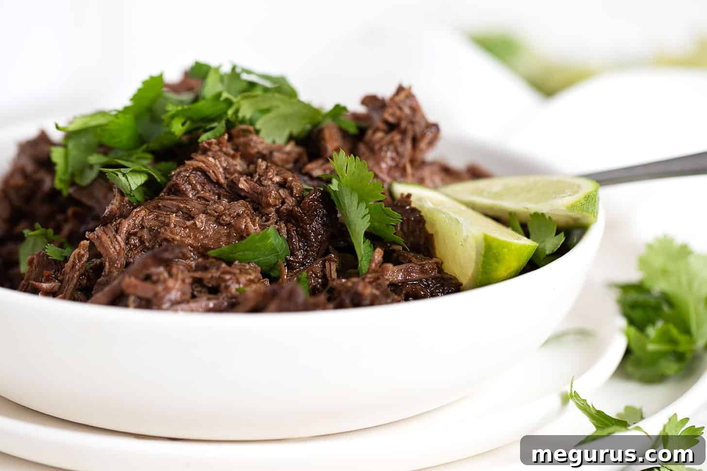 A vibrant bowl of homemade barbacoa beef garnished with fresh cilantro and lime wedges, showcasing its rich, tender texture ready to be enjoyed.