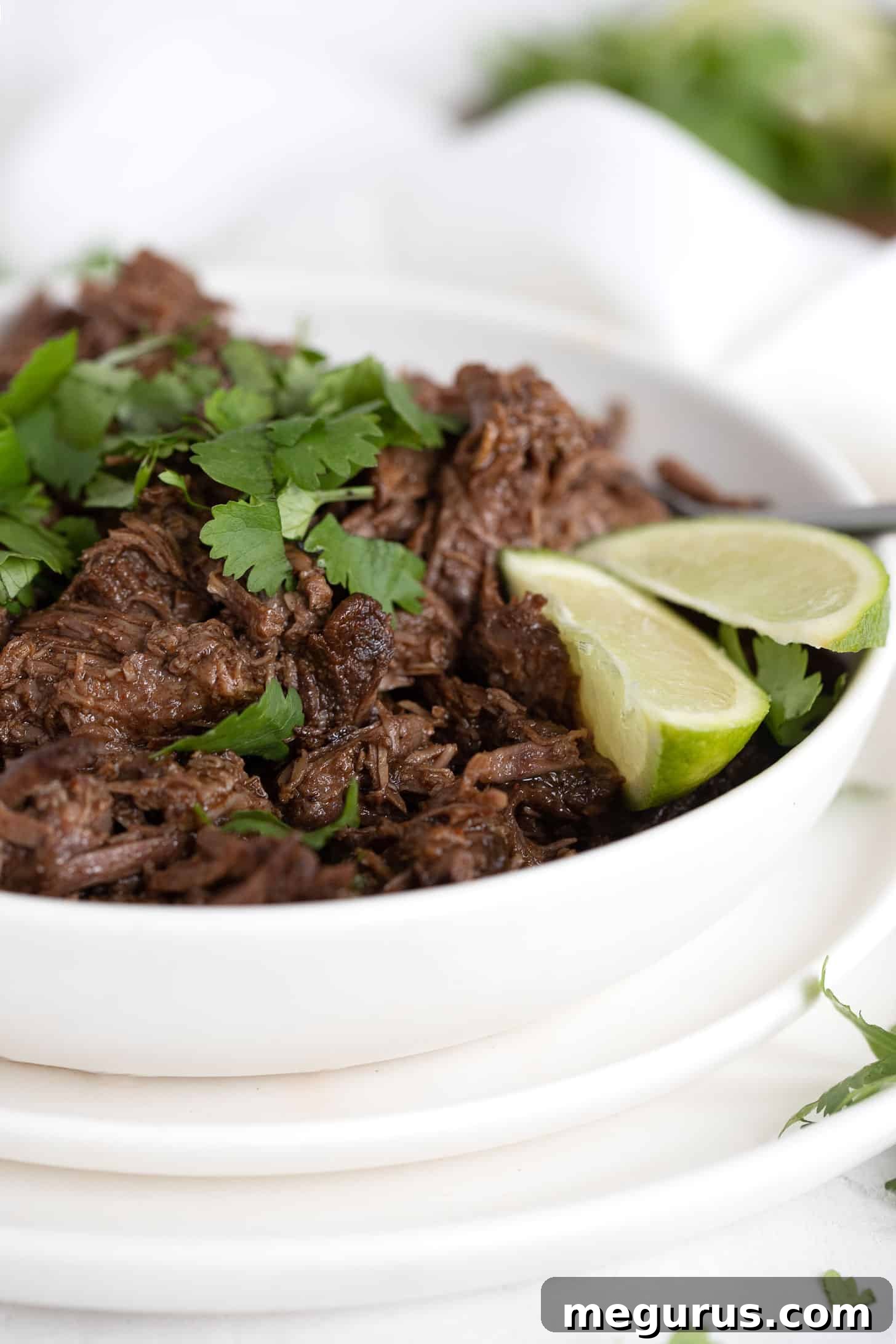 A beautifully presented barbacoa beef burrito bowl, garnished with fresh cilantro and lime, ready to be served.