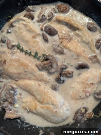 Finished creamy garlic chicken with mushrooms simmering in the skillet