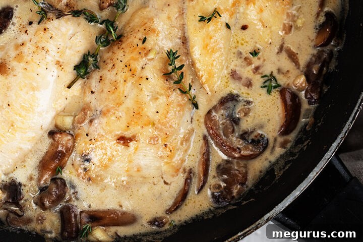 creamy garlic chicken with mushrooms in skillet