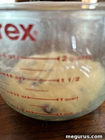 Dough undergoing its first rise in a clear measuring cup, showing significant expansion.