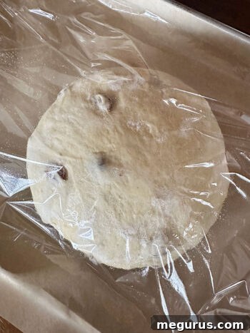 The shaped dough undergoing its second rise on a baking sheet, expanding further.