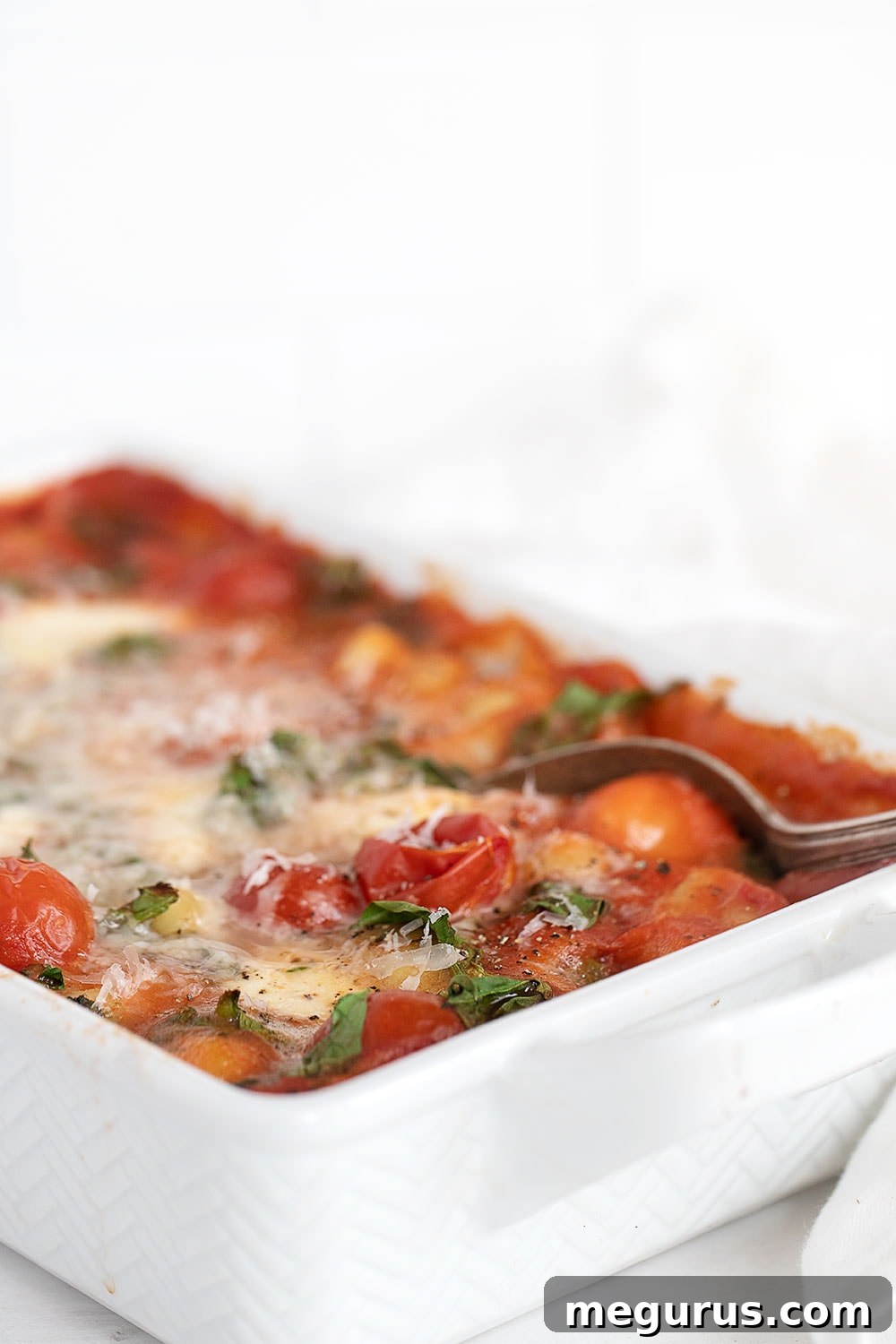 baked gnocchi and tomatoes in baking dish, close up shot