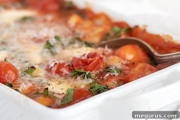 baked gnocchi with tomatoes and bocconcini in casserole dish