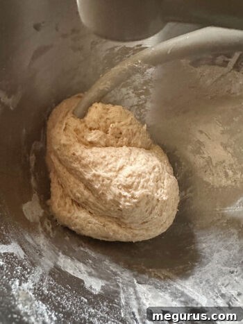 Finished, smooth, and slightly moist dough in the stand mixer bowl after kneading.