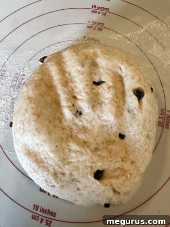Deflated dough on a floured surface after its first rise, ready for shaping.