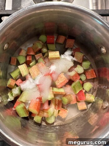 Chopped rhubarb in a saucepan