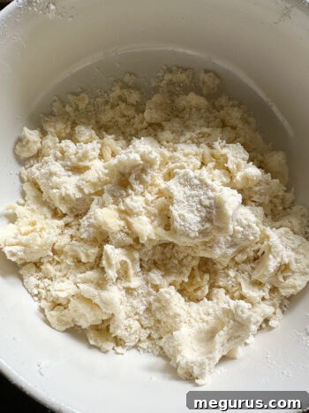 Close-up of shortbread base mixture with butter cut into dry ingredients, creating a crumbly texture.