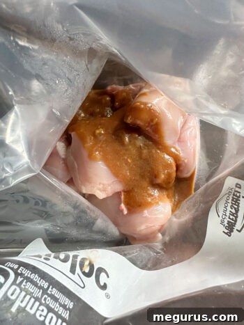 Boneless chicken thighs arranged in a shallow bowl, ready for marinating.