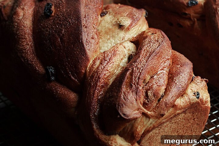twisted cinnamon raisin bread on cooling rack