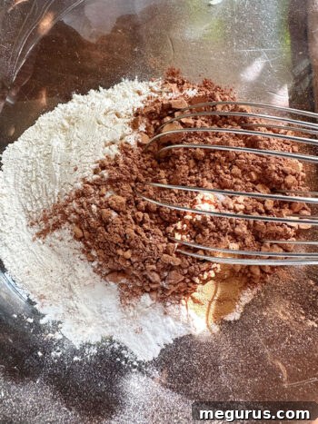 Whisking together dry ingredients in a large bowl.