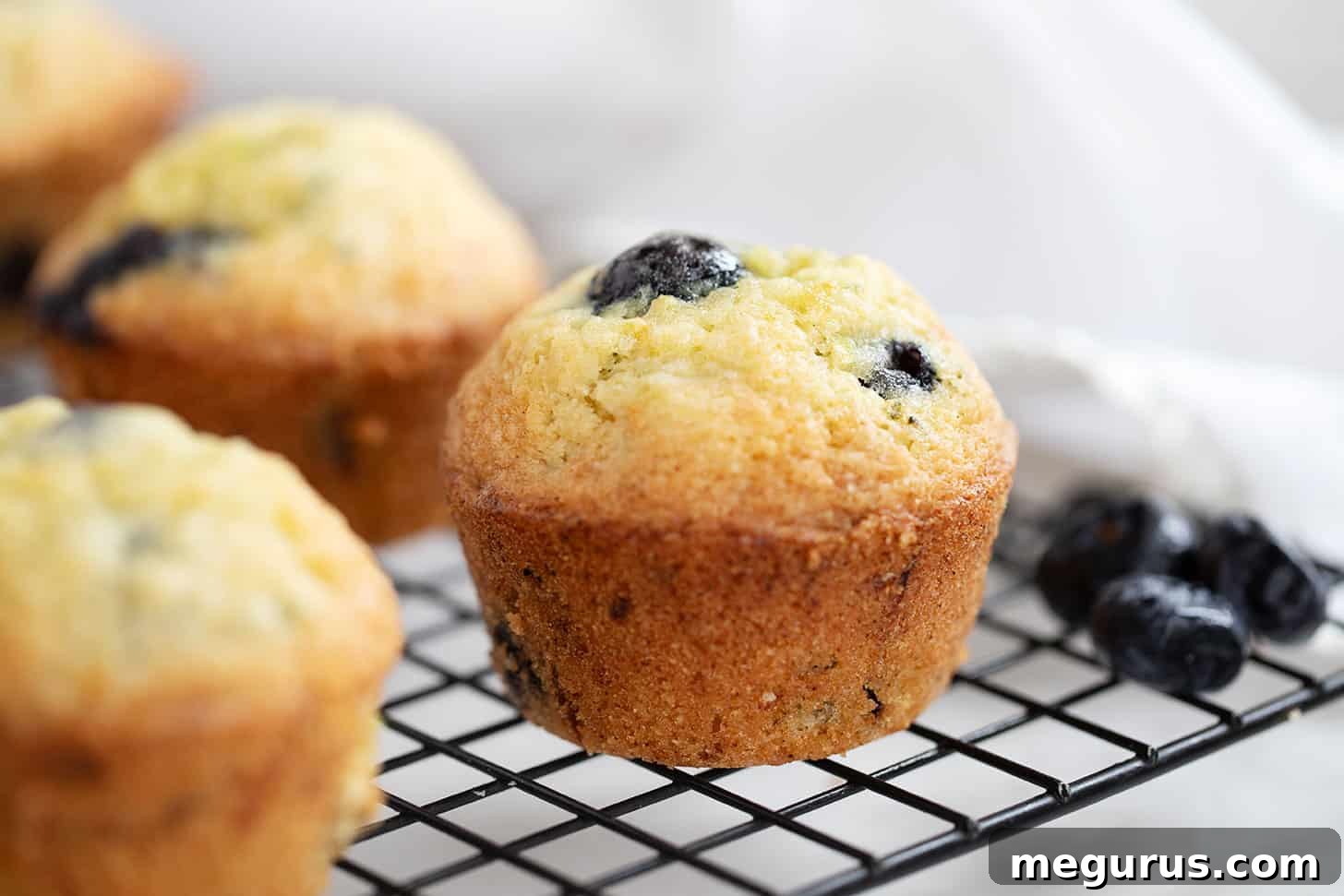 Freshly baked blueberry zucchini muffins on a wire cooling rack, highlighting their golden tops and tender interior.
