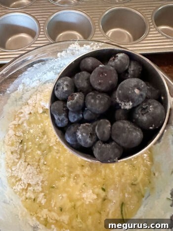 Adding fresh blueberries to the muffin batter in the bowl.
