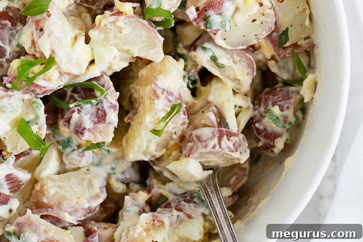 simple potato egg salad in white bowl with spoon