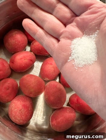 Adding salt to a pot of potatoes covered with water before boiling.