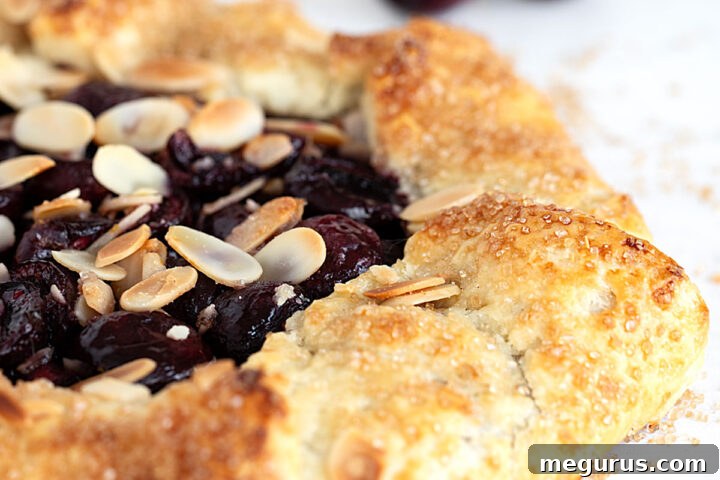 Beautiful cherry galette with fresh cherries in the background
