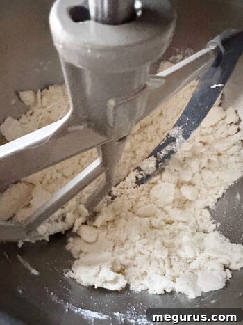 Flour and butter mixture after being briefly mixed, showing visible small pieces of butter