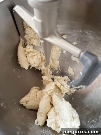 Dough mixture after cold water and vinegar have been added, just starting to come together