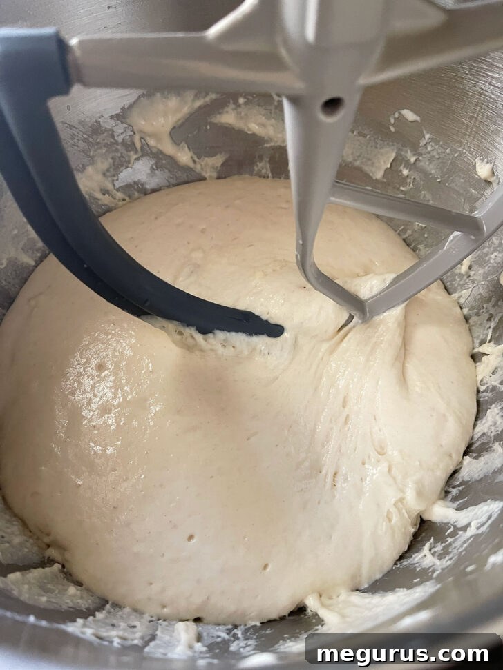 English Muffin Bread dough after rising, significantly increased in volume and bubbly.