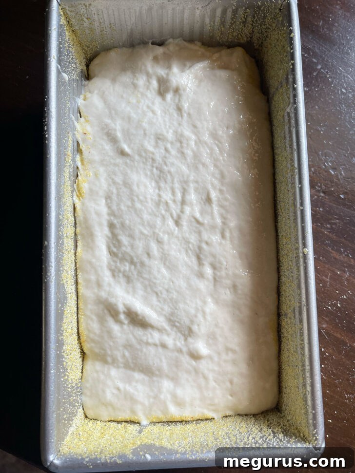 English Muffin Bread dough evenly distributed in the prepared loaf pan.