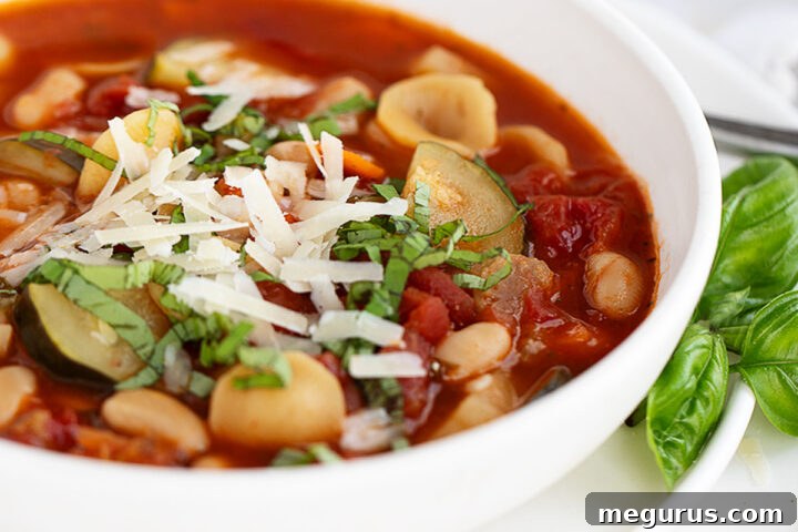 Summer minnestrone soup in bowl with basil