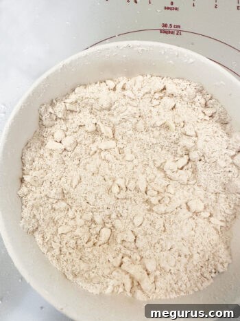 after cutting the butter into the dry ingredients