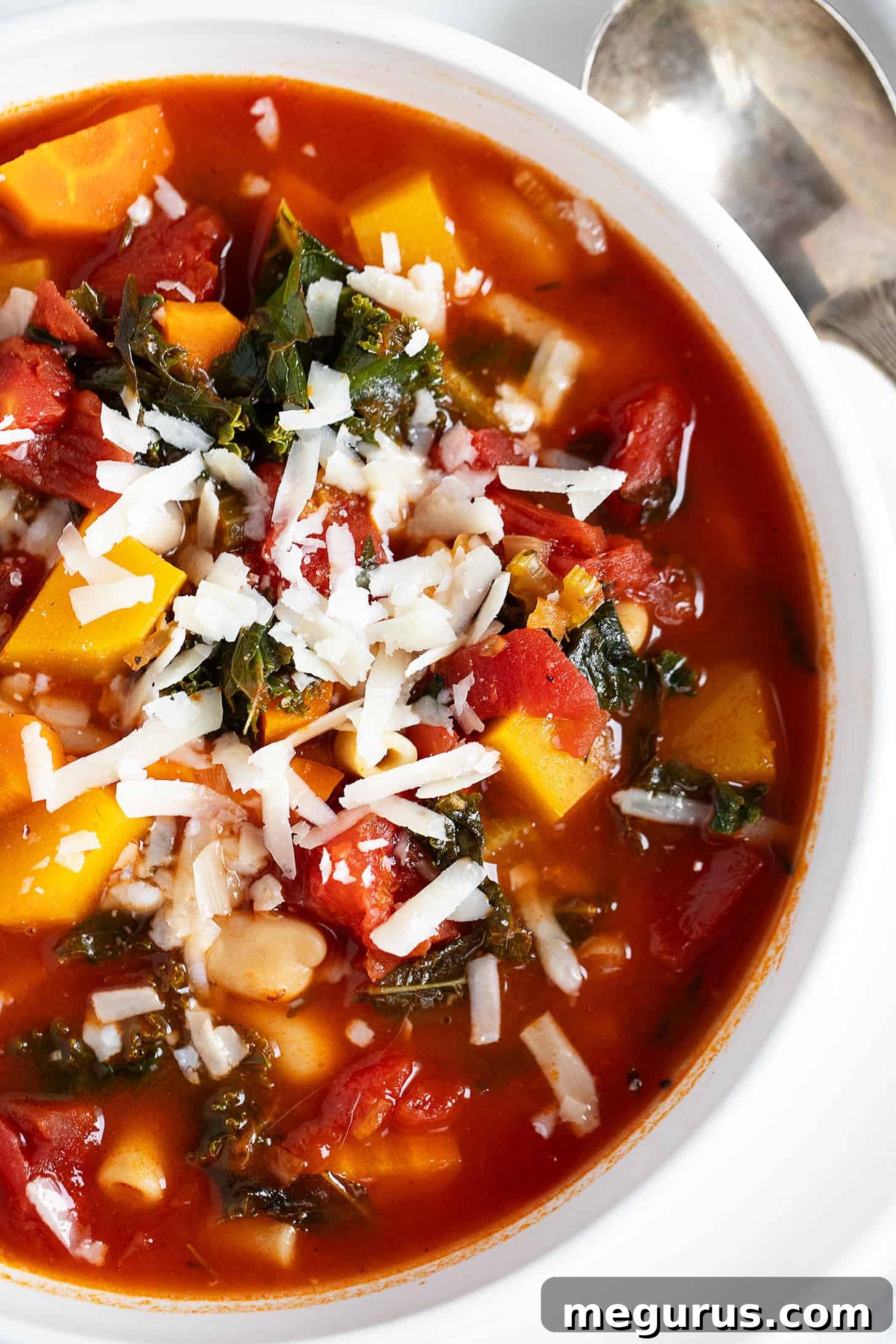 Close-up of Fall minestrone soup in a white bowl, showing rich textures.