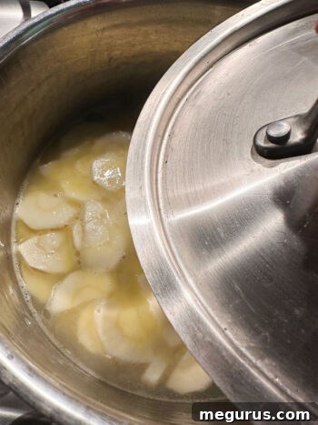A lid covering the saucepan as parsnips simmer.