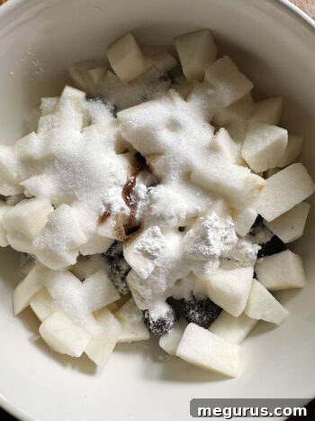 Fresh and diced apples and blackberries mixed in a bowl with sugar, cornstarch, and vanilla.
