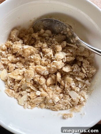 The crumble topping mixture fully moistened with butter and ready to be spread over the fruit.