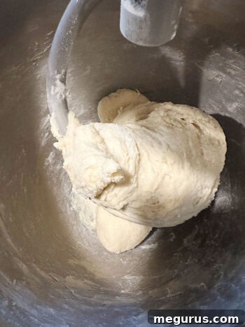 The fully kneaded dough wrapped around the dough hook, cleaning the sides of the bowl.