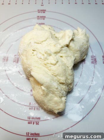 The dough removed from the mixing bowl and placed on a lightly floured work surface.