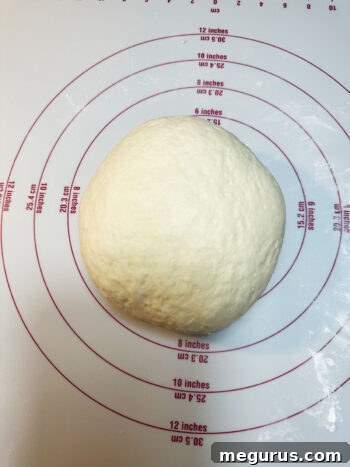 The dough shaped into a smooth ball after a brief hand knead.