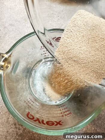 Activating yeast in lukewarm water, essential first step for dough.