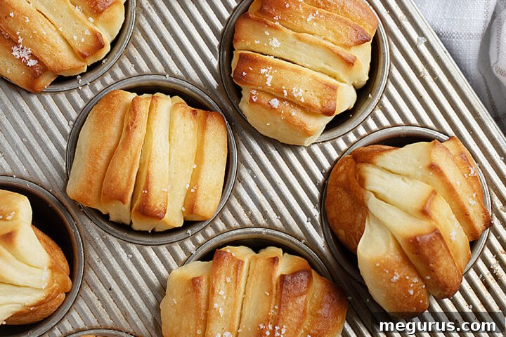 Butterflake rolls in muffin tin.