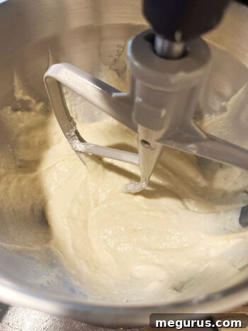 The dough being mixed with the paddle attachment until combined.