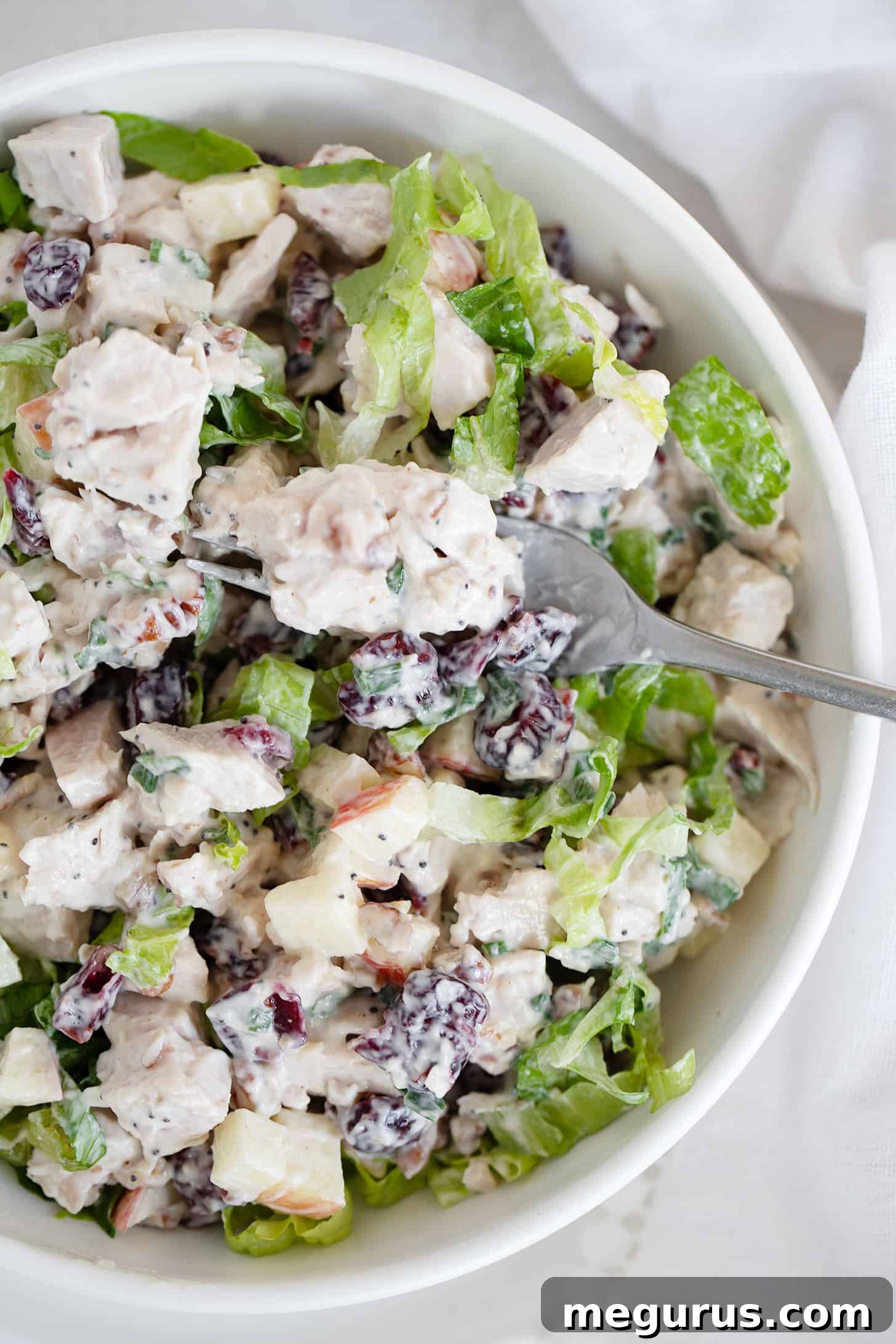 A close-up of cranberry pecan turkey salad in a white bowl with a fork, ready to be enjoyed.