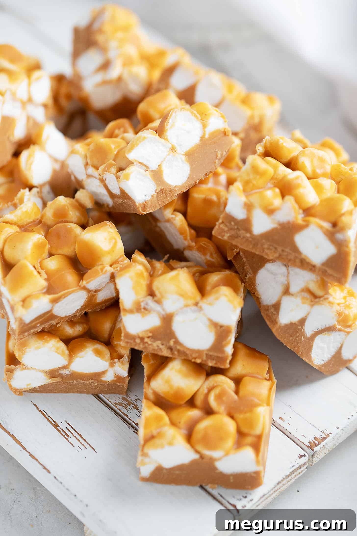 A serving tray filled with perfectly sliced peanut butter marshmallow squares, showcasing their delicious layers and readiness to be served.